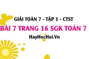 Giải bài 7 trang 16 Toán 7 Tập 1 SGK Chân trời sáng tạo